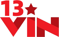 13vin Logo